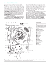 Biochemistry The Chemical Reactions Of Living Cells 2d Ed Vols 1 2