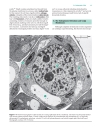 Biochemistry The Chemical Reactions Of Living Cells 2d Ed Vols 1 2