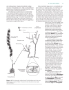 Biochemistry The Chemical Reactions Of Living Cells 2d Ed Vols 1 2