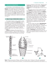 Biochemistry The Chemical Reactions Of Living Cells 2d Ed Vols 1 2