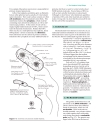 Biochemistry The Chemical Reactions Of Living Cells 2d Ed Vols 1 2