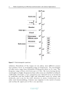 Radio Engineering for Wireless Communication and Sensor Applications