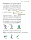 Organic Chemistry 4th ed