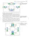 Organic Chemistry 4th ed