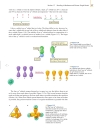 Organic Chemistry 4th ed