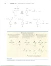 Subsitutions at the Carbonyl Group