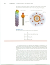 Subsitutions at the Carbonyl Group