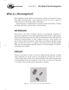 Microbiology Demystified