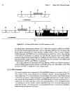 Design of Analog CMOS Integrated Circuits