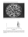 Modern Advances in Chromatography