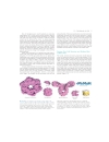 Molecular Cell Biology 5th Edition