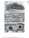 Color Atlas Of Cytology Histology And Microscopic Anatomy