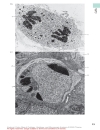 Color Atlas Of Cytology Histology And Microscopic Anatomy