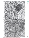 Color Atlas Of Cytology Histology And Microscopic Anatomy