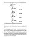 Organic Bromine and Iodine Compounds v 3 Pt R The Handbook of Environmental Chemistry