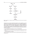 Organic Bromine and Iodine Compounds v 3 Pt R The Handbook of Environmental Chemistry