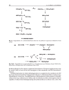 Organic Bromine and Iodine Compounds v 3 Pt R The Handbook of Environmental Chemistry