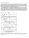 Adsorption by Powders and Porous Solids Principles Methodology and Applications