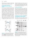 Harper s Illustrated Biochemistry