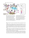 Molecular Biology in Medicinal Chemistry