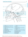 Pocket Atlas Of Radiographic Anatomy 2d ed