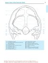 Pocket Atlas Of Radiographic Anatomy 2d ed