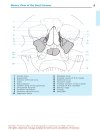 Pocket Atlas Of Radiographic Anatomy 2d ed