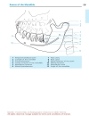 Pocket Atlas Of Radiographic Anatomy 2d ed