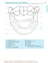 Pocket Atlas Of Radiographic Anatomy 2d ed