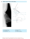 Pocket Atlas Of Radiographic Anatomy 2d ed