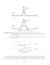 The Engineer s Guide to Standards Conversion