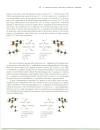 Stereochemistry II Chapter 07