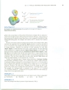 Organic Compounds A First Look