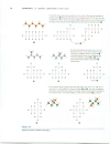 Organic Compounds A First Look