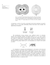 Advanced Organic Chemistry Structure and Mechanisms Part A