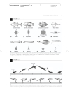 Vertebrate Biology