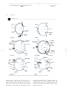 Vertebrate Biology