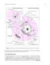 Cell Biology A Short Course 2d ed