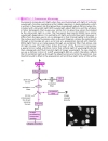 Cell Biology A Short Course 2d ed