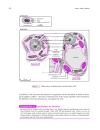 Cell Biology A Short Course 2d ed