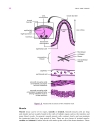 Cell Biology A Short Course 2d ed