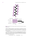 Cell Biology A Short Course 2d ed