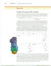 Aromatic Substitution Reactions