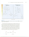 Aromatic Substitution Reactions