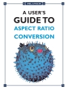 A User s Guide to Aspect Ratio Conversion