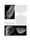 GEOLOGY AND VERTEBRATE PALEONTOLOGY OF THE EARLY PLIOCENE SITE OF KANAPOI NORTHERN KENYA