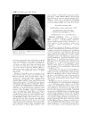 GEOLOGY AND VERTEBRATE PALEONTOLOGY OF THE EARLY PLIOCENE SITE OF KANAPOI NORTHERN KENYA