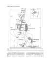 GEOLOGY AND VERTEBRATE PALEONTOLOGY OF THE EARLY PLIOCENE SITE OF KANAPOI NORTHERN KENYA