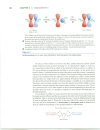 Stereochemistry I Chapter 06