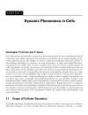 Computational Cell Biology